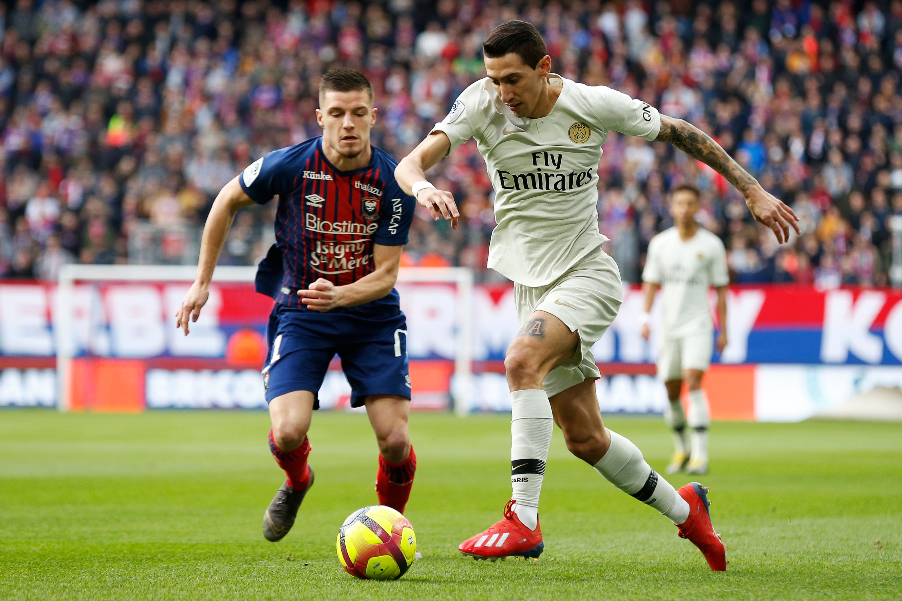 判断力决定高度（凭判断力抵达高度）